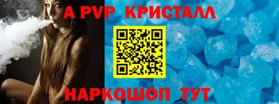 стафф Гатчина