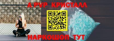 ECSTASY Гай