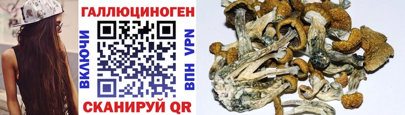 Галлюциногенные грибы GOLDEN TEACHER  Гудермес 