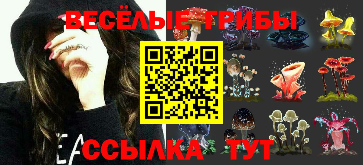 Галлюциногенные грибы GOLDEN TEACHER  Псилоцибиновые грибы ЛСД  Вход с VPN  Гудермес 