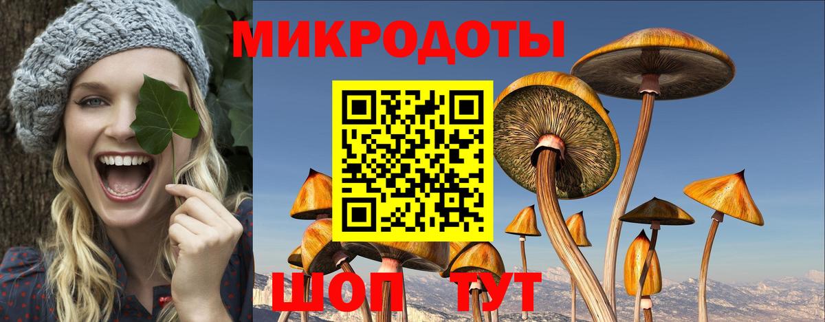 Галлюциногенные грибы мухоморы  купить   Галлюциногенные грибы Cubensis  Гудермес 