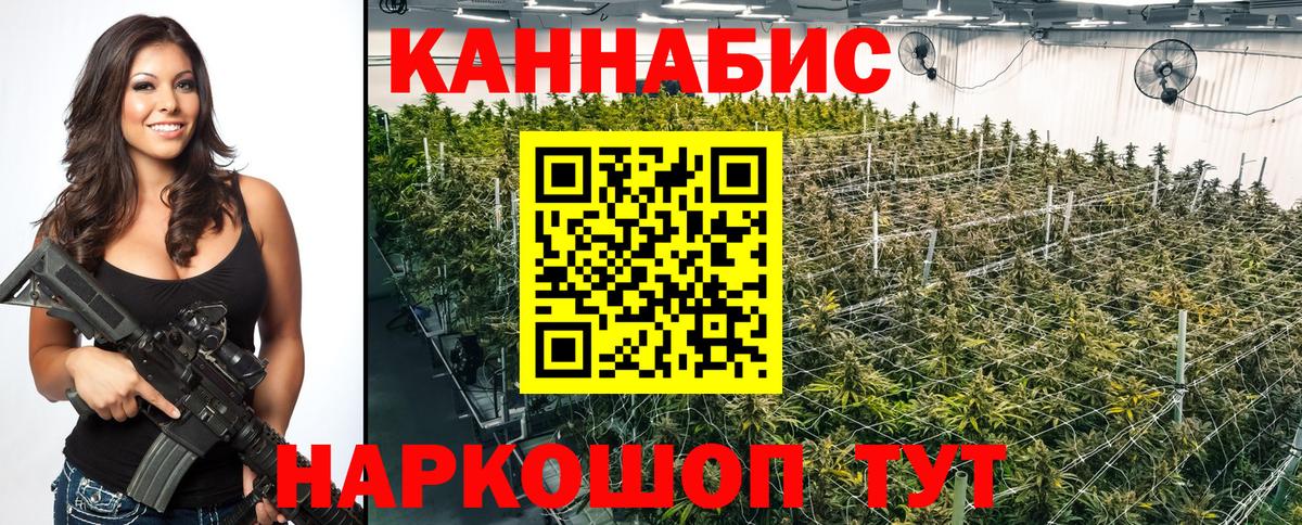 Каннабис VHQ Гудермес